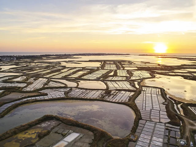Born in the marshes of Guérande, France