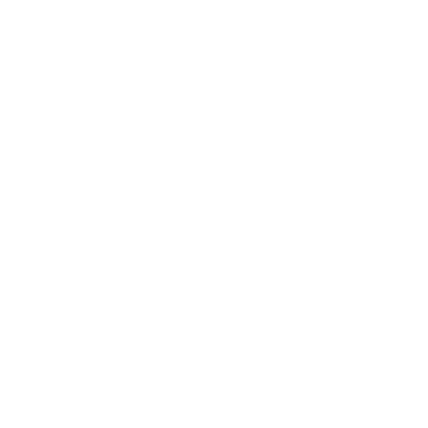 Sante 